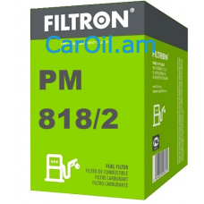 Filtron PM 818/2